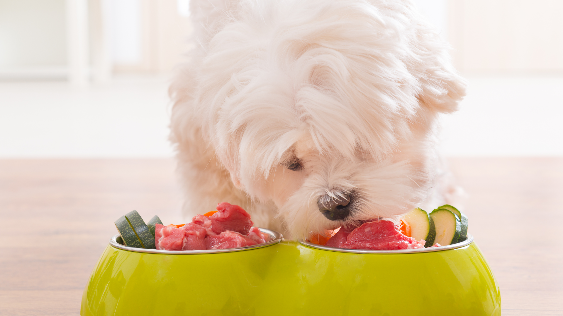 what is a beg diet for dogs